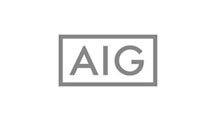 aig mini